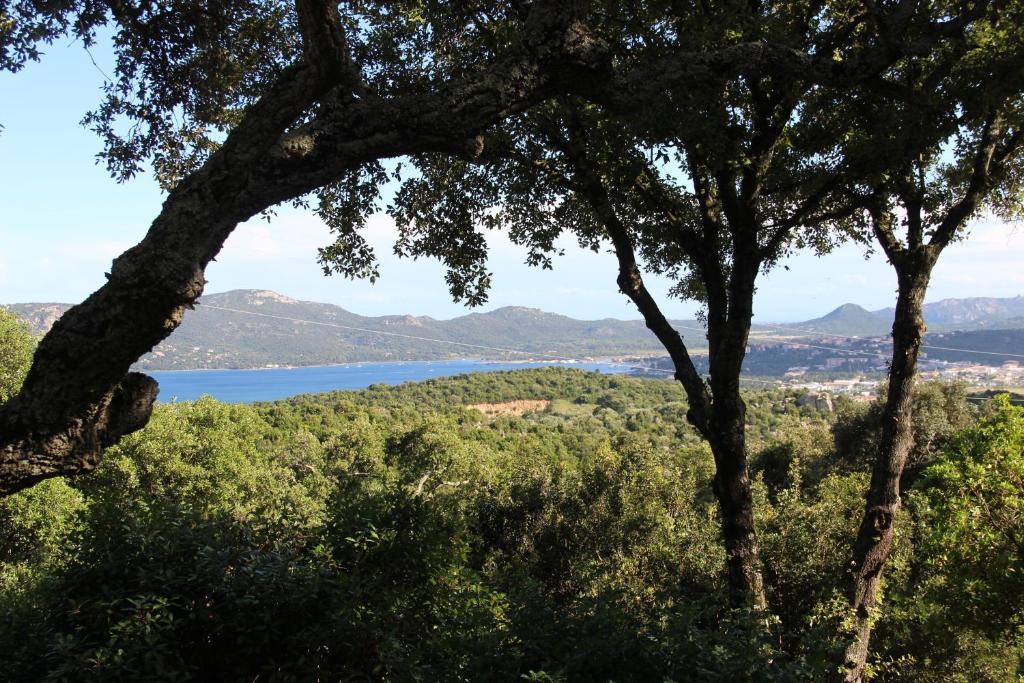 Hotel Les Hauts De Porto-Vecchio Rum bild